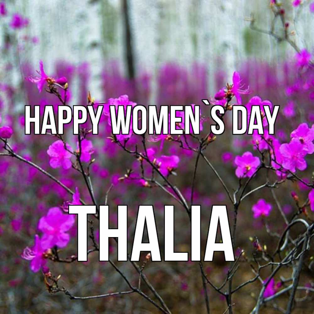 Greetings card с именем, Thalia happy women`s day дикие цветы Greetings with text for free download 